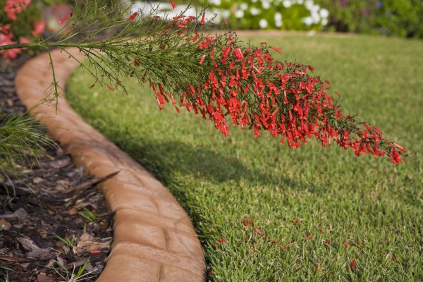 Brick Edging in Bend